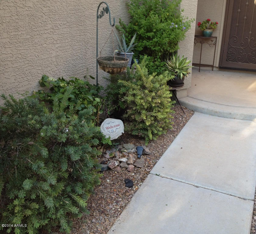 4361 South Rim Court Gilbert, AZ 85297 - Photo 42 of 51 Vegetation along front sidewalk