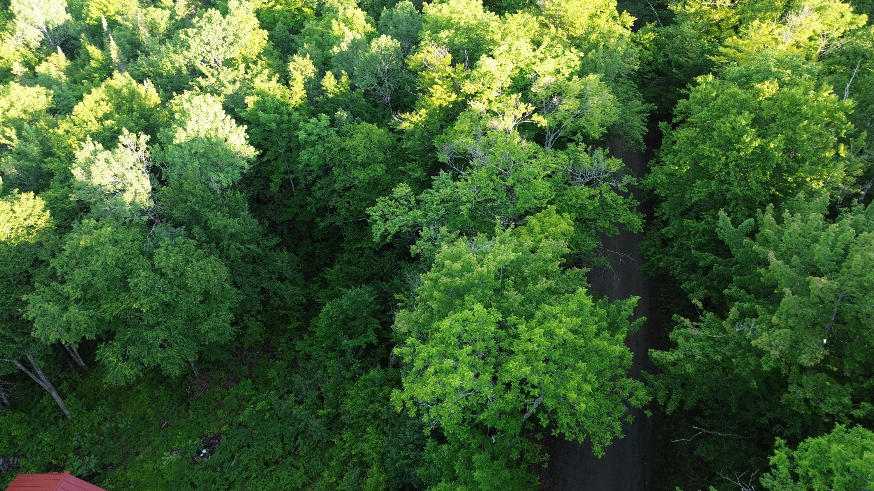 24a Anson Valley Road New Vineyard, ME 04956 - Photo 89 of 93 DJI_0103