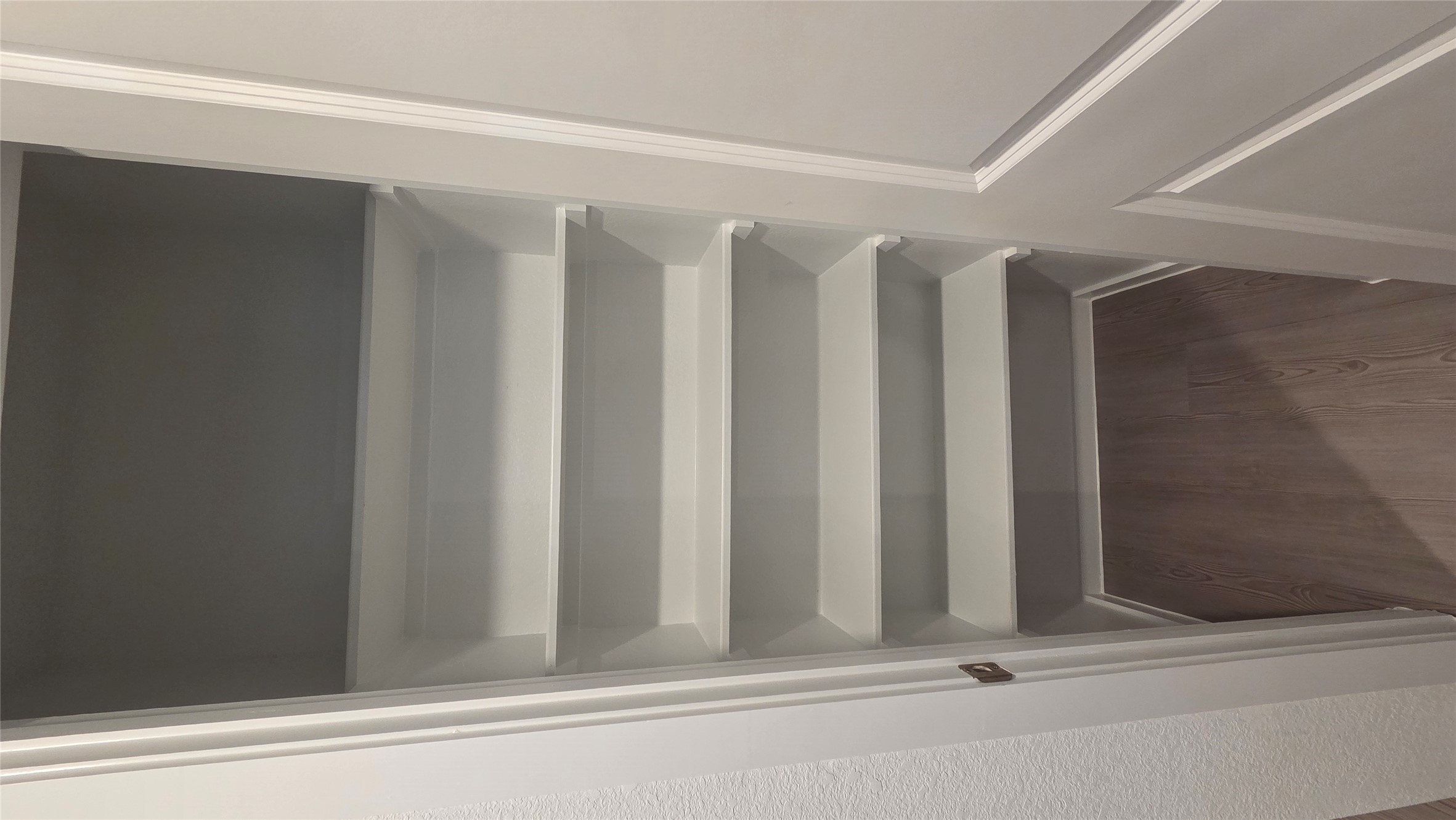 110 Canadian Cove Kyle, TX 78640 - Photo 20 of 20 a view of walk in closet with empty racks