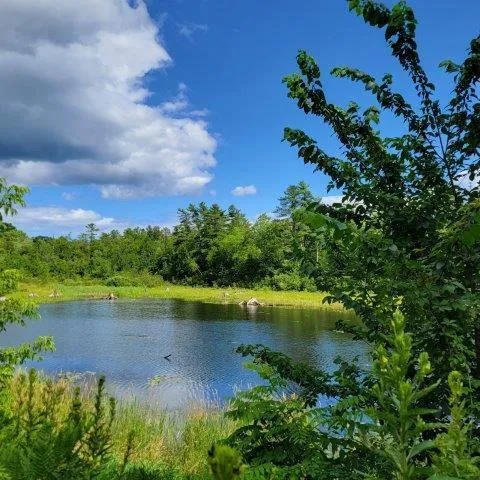 $199,450 | 14 Arab Road, Lee, ME 04455