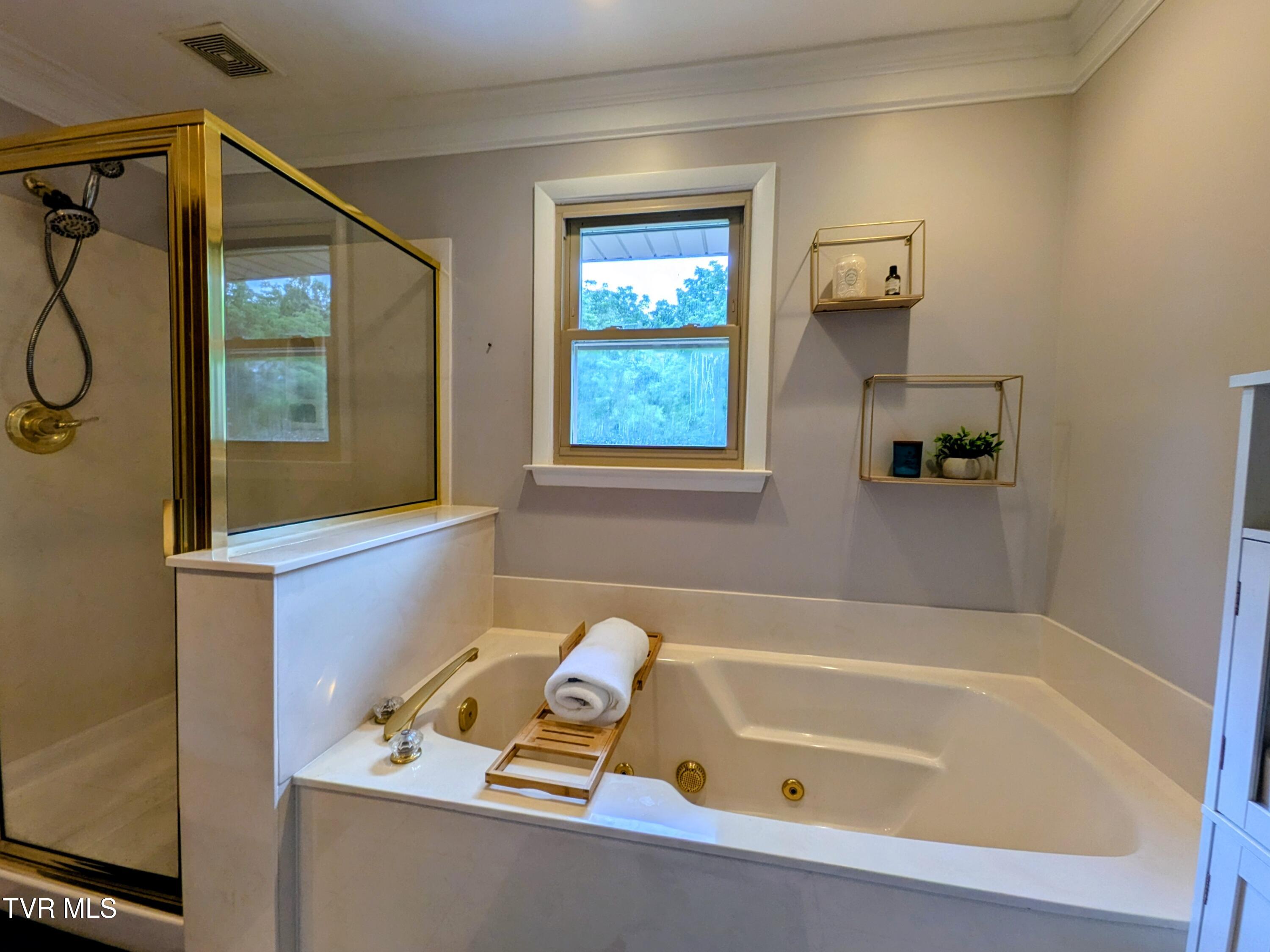 1129 Jackson Hollow Road Kingsport, TN 37663 - Photo 18 of 59 Bathroom1(3)