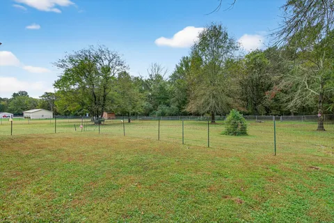 a view of a field with a tree