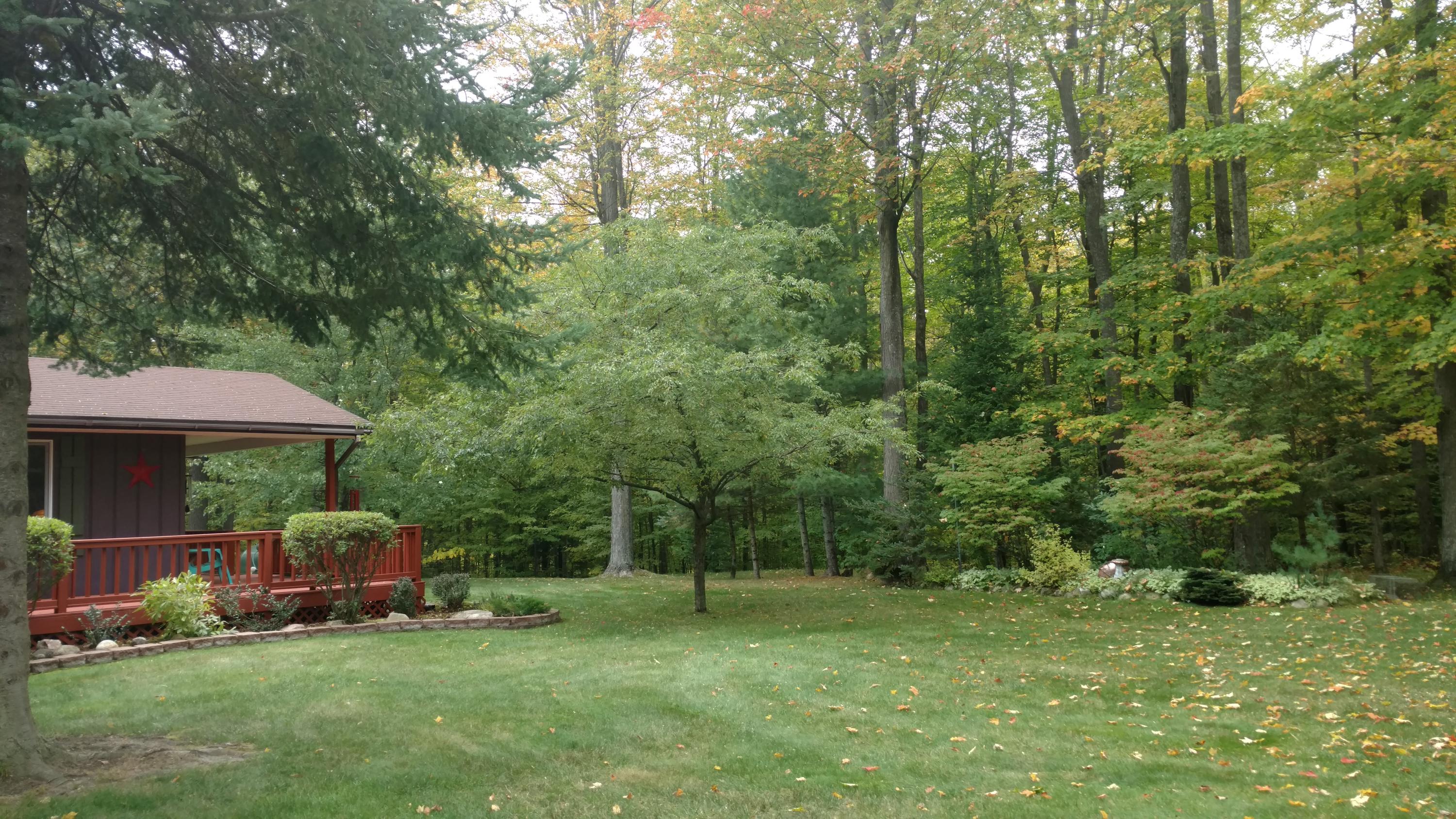 15794 Pleasant Valley Road Atlanta, MI 49709 - Photo 5 of 20 Gallery Image 5