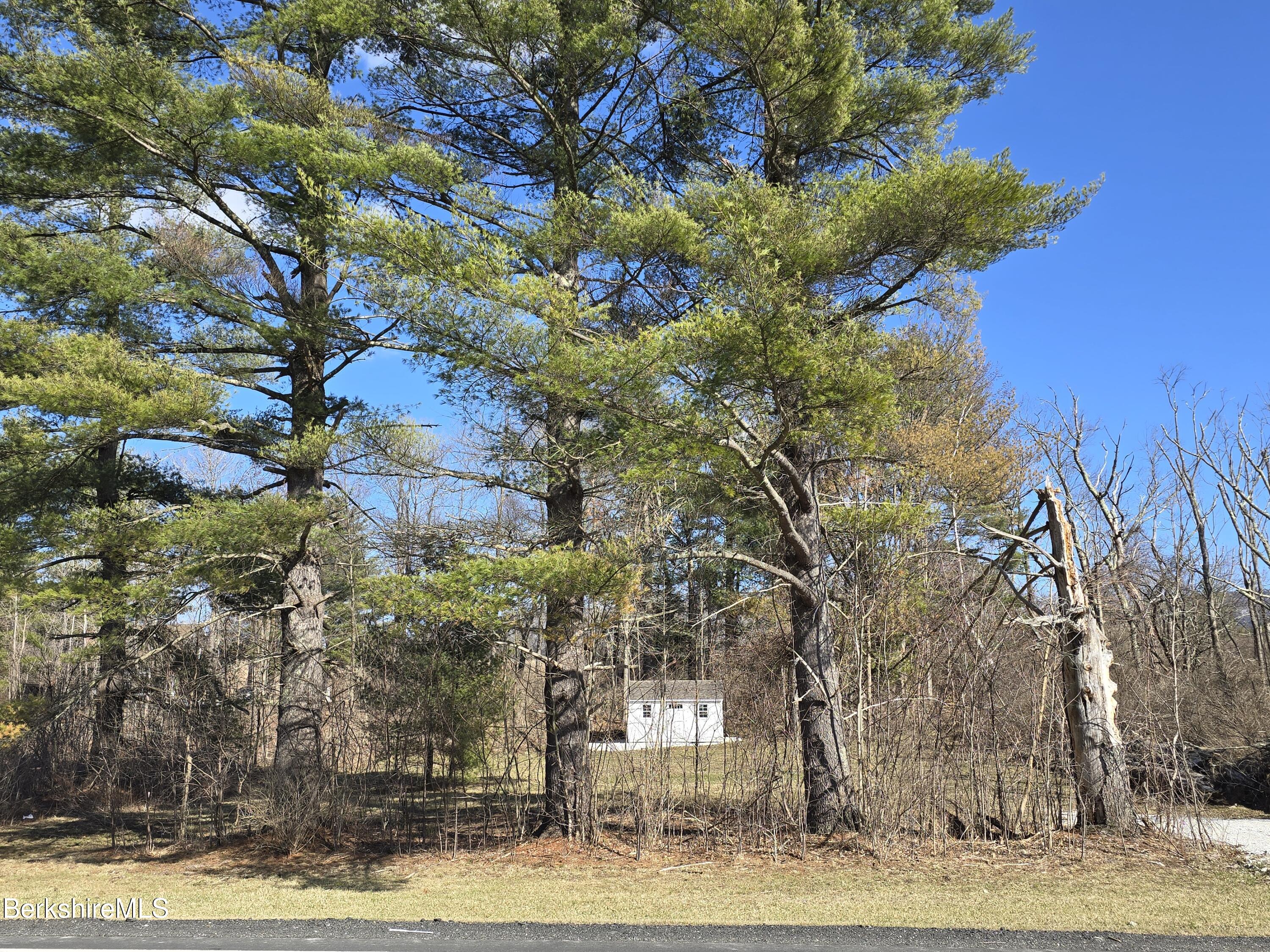 1460 Cold Spring Road Williamstown, MA 01267 - Photo 3 of 7 Cold Spring 8