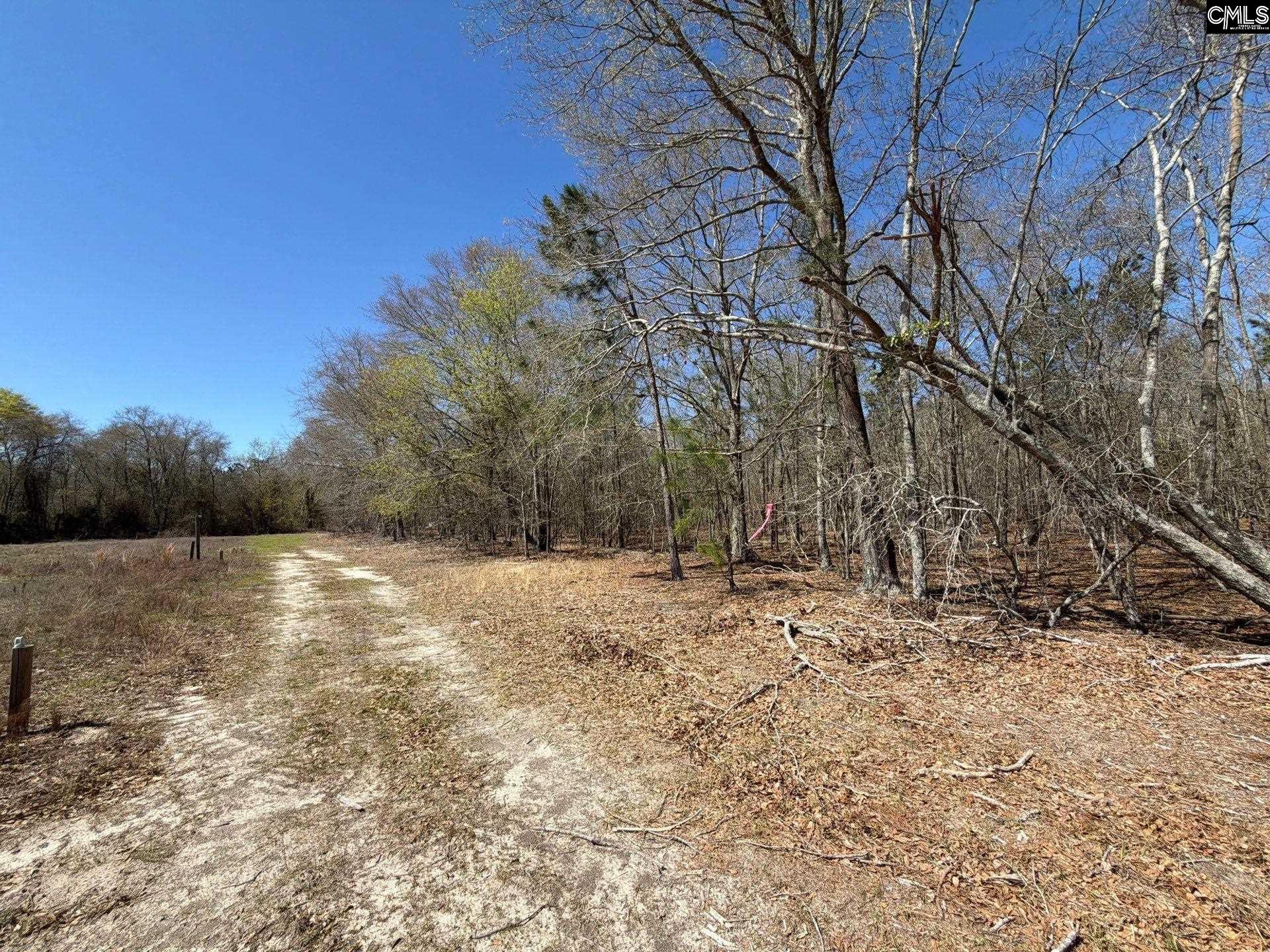 9 Boise Cascade Road, Unit BHL 9 Bethune, SC 29009 - Photo 12 of 44