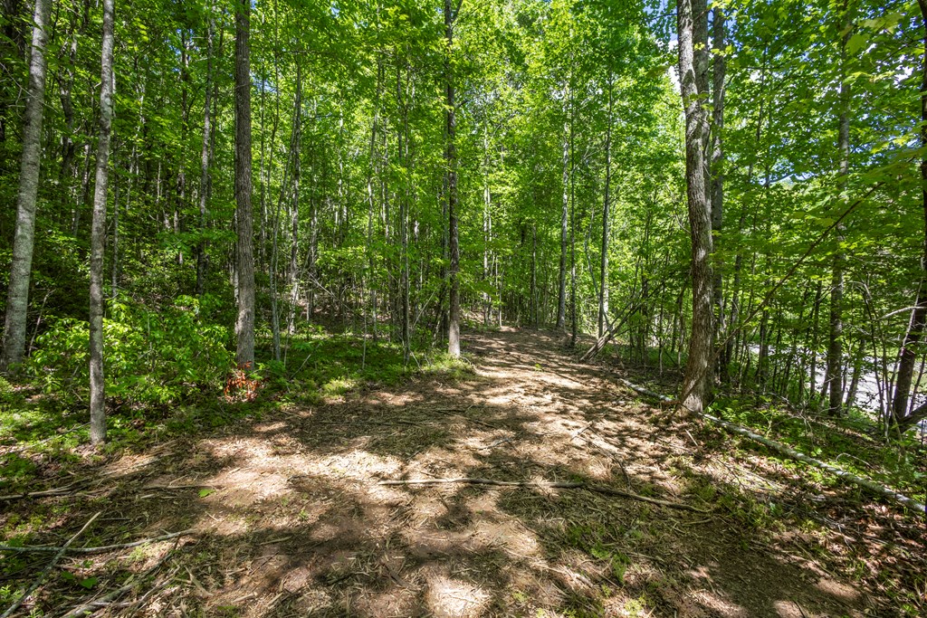 4.2-acre Donley Road Murphy, NC 28906 - Photo 3 of 32 a view of a forest with trees