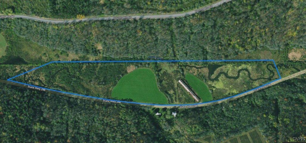 1191 State Rte 248 West Union, NY 14877 - Photo 4 of 23