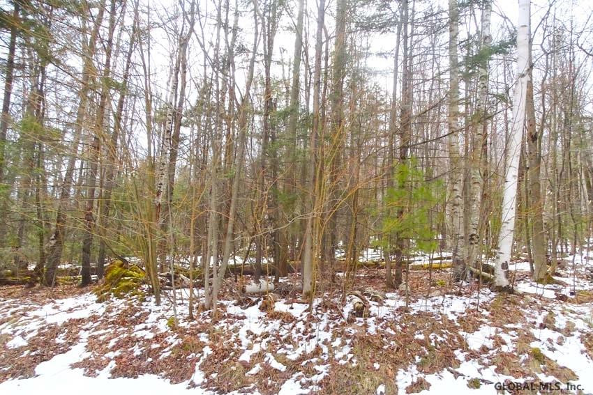 0 Graphite Mountain Road Hague, NY 12836 - Photo 2 of 2 Photo 2