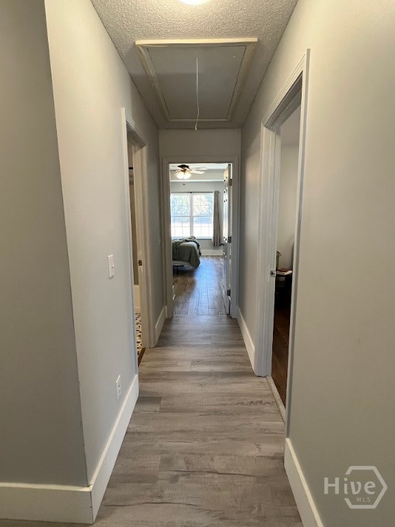 82 Saddlebrush Road Ellabell, GA 31308 - Photo 16 of 25 Hallway to bedrooms