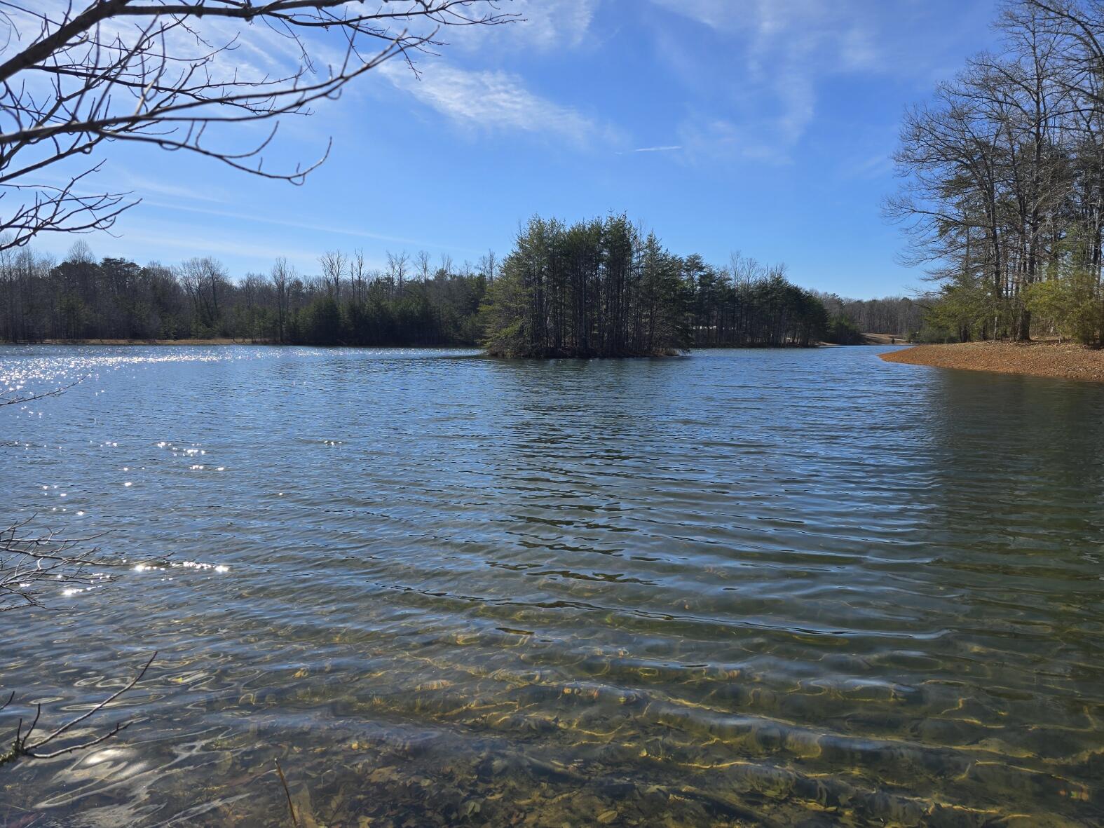 0 Young Road Soddy Daisy, TN 37379 - Photo 2 of 10 00 Young Rd (2)