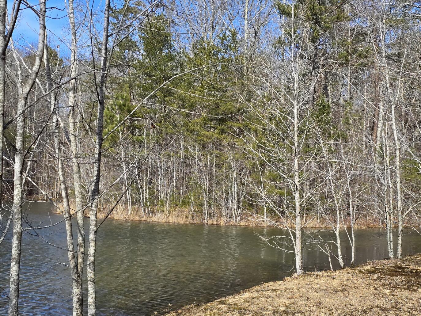 0 Young Road Soddy Daisy, TN 37379 - Photo 3 of 10 00 Young Rd (4)