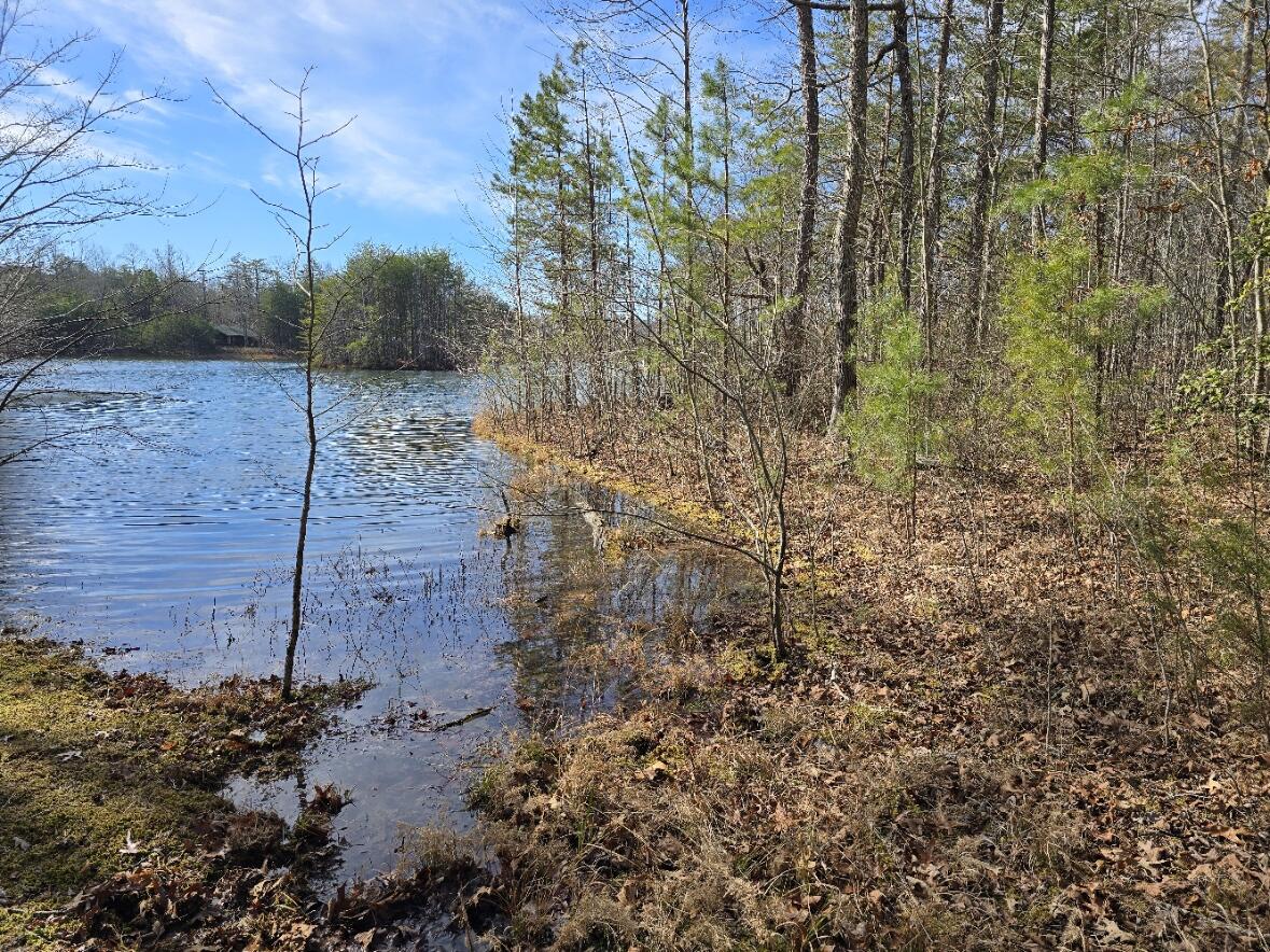 0 Young Road Soddy Daisy, TN 37379 - Photo 4 of 10 00 Young Rd (3)