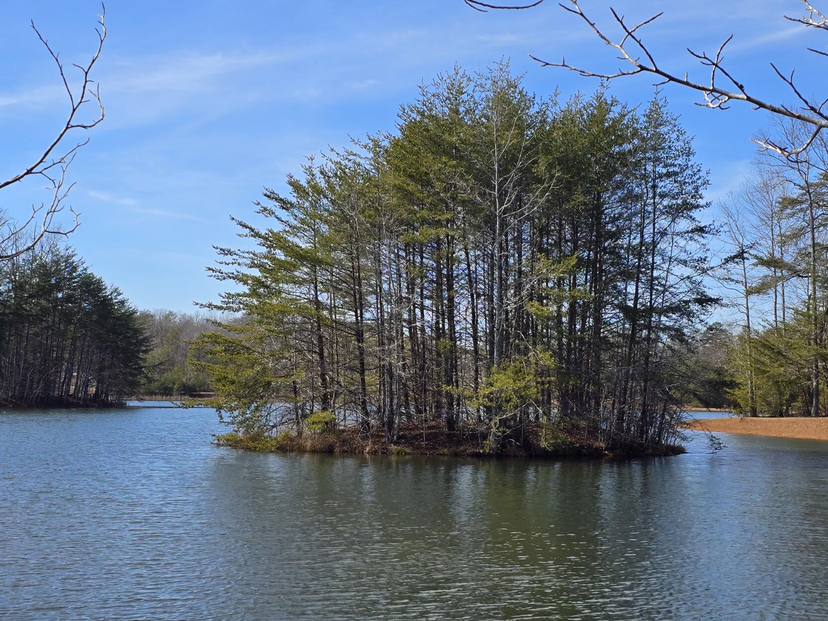 0 Young Road Soddy Daisy, TN 37379 - Photo 5 of 10 00 Young Rd (5)