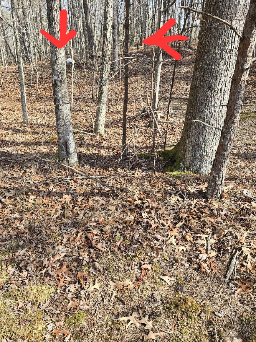 0 Young Road Soddy Daisy, TN 37379 - Photo 6 of 10 20250129_122313