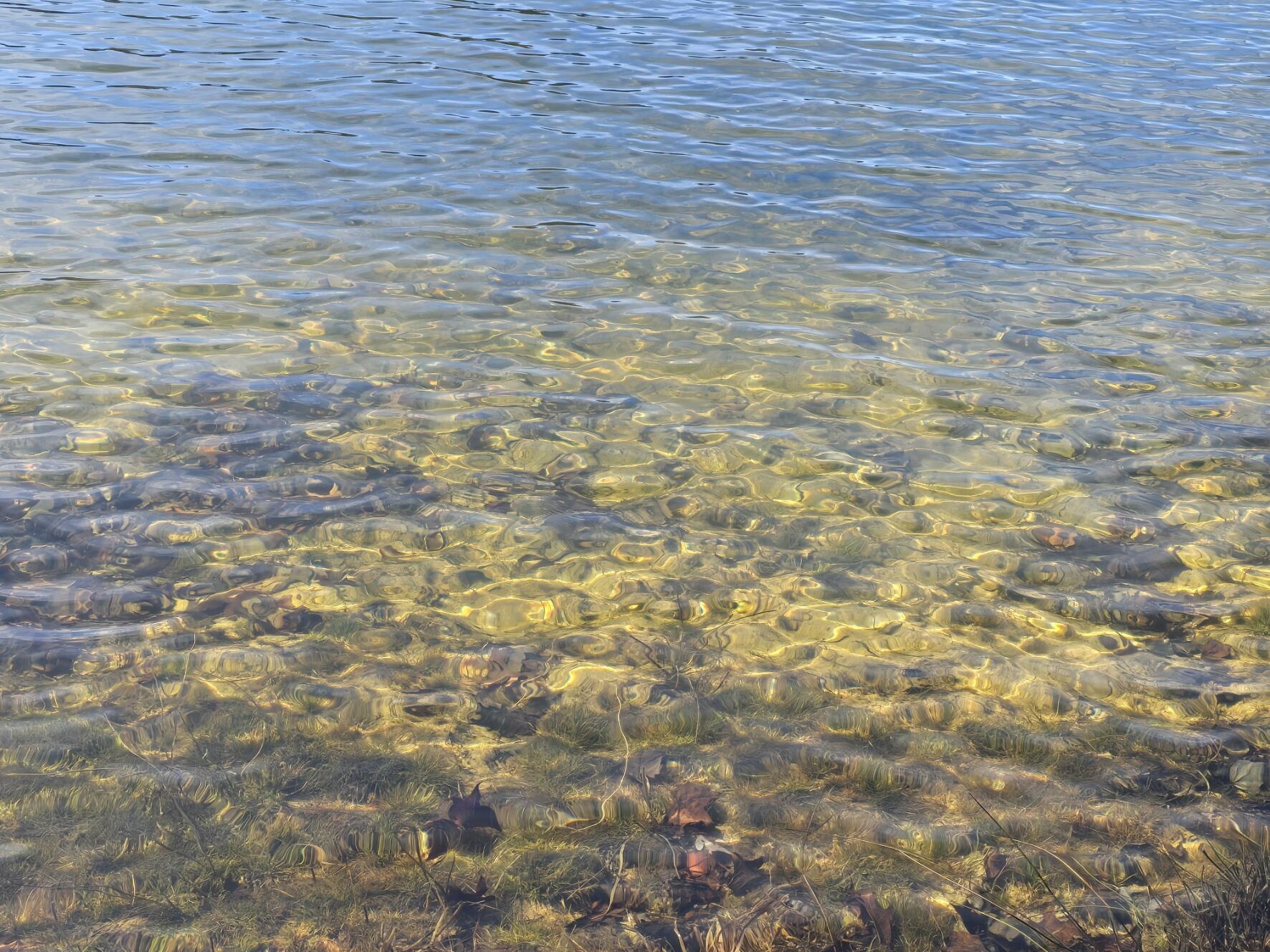 0 Young Road Soddy Daisy, TN 37379 - Photo 10 of 10 20250129_122518