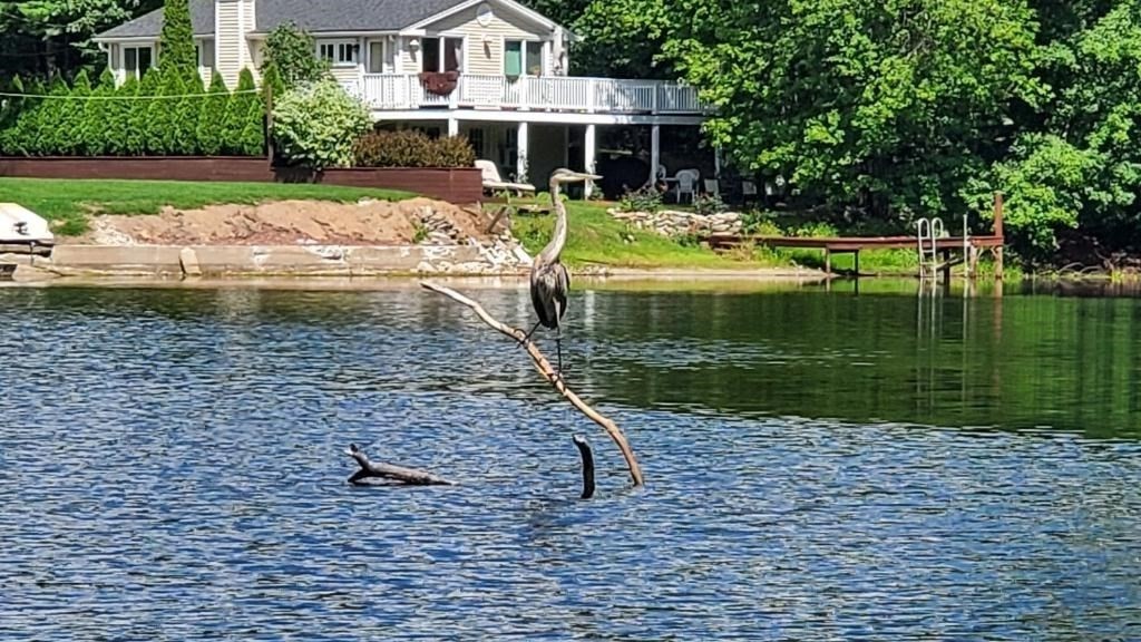 49 Hayden Pond Road, Unit 2 Dudley, MA 01571 - Photo 18 of 18 a view of a lake with a house