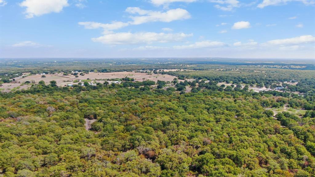 a view of a city with lush green forest