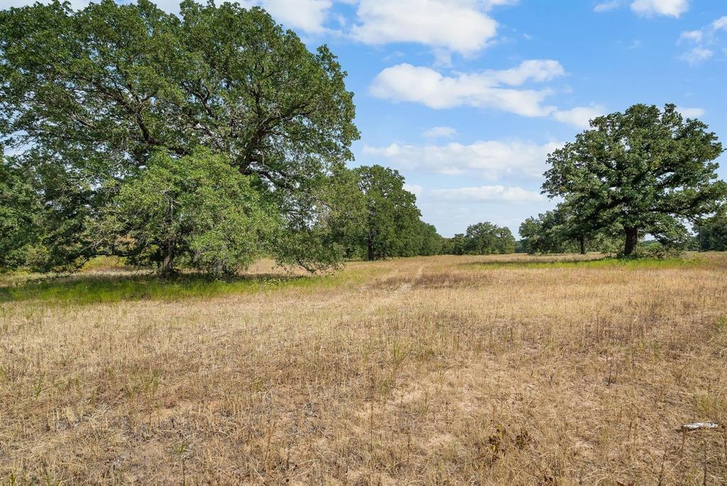 Lot 15 Double B Ranch Road South Perrin, TX 76486 - Photo 13 of 19 a view of lake with green space