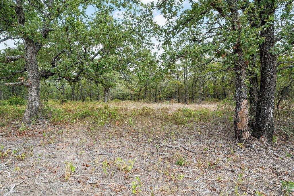 Lot 15 Double B Ranch Road South Perrin, TX 76486 - Photo 5 of 19 a view of outdoor space with trees all around