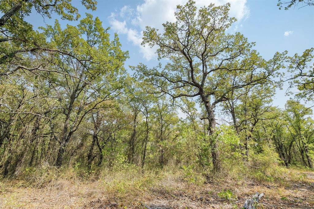 Lot 15 Double B Ranch Road South Perrin, TX 76486 - Photo 8 of 19
