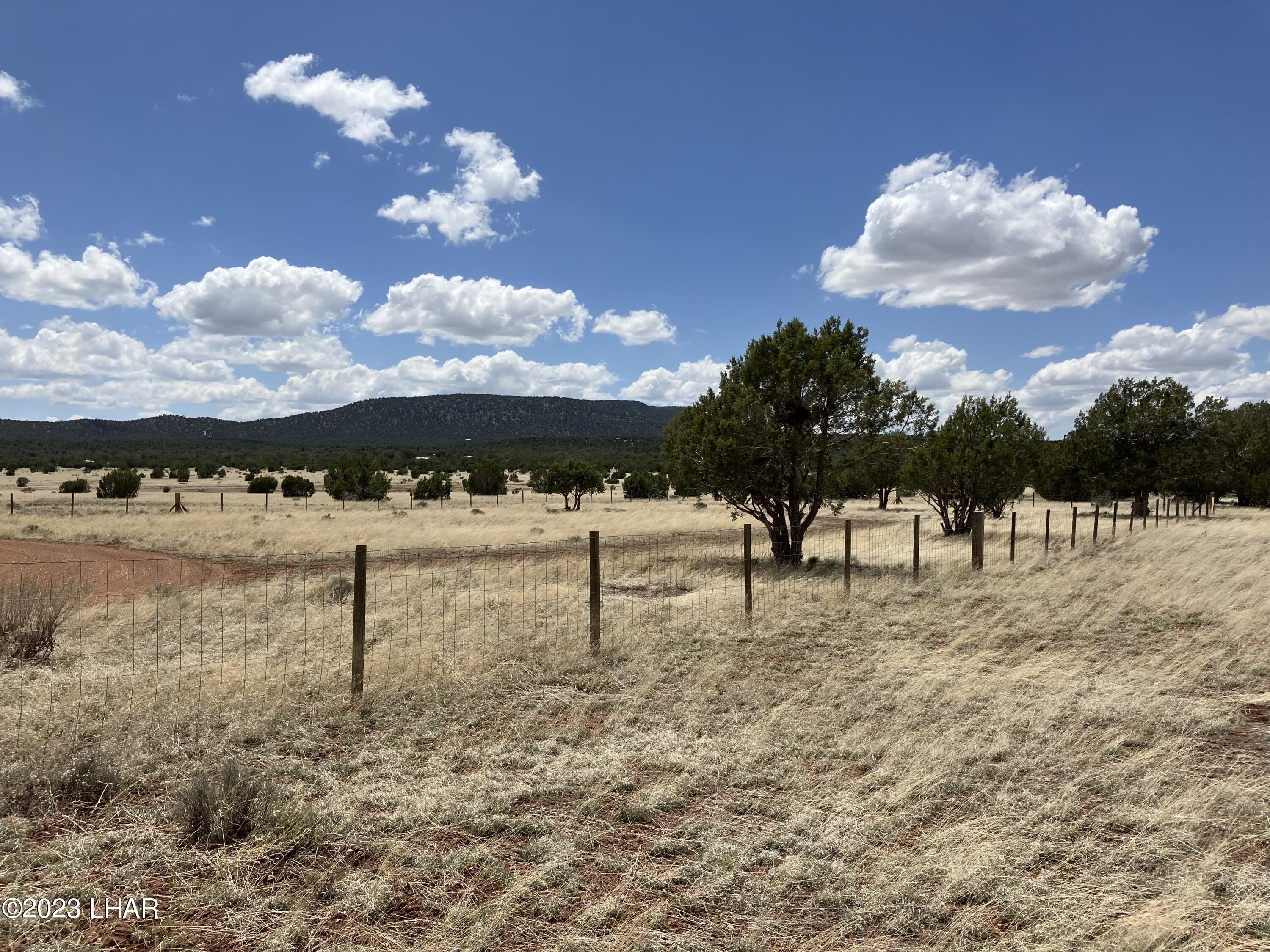 54404 Castano Road Seligman, AZ 86337 - Photo 4 of 5 51C12DF3-7AA0-4887-A169-DAE0E4BCBF72