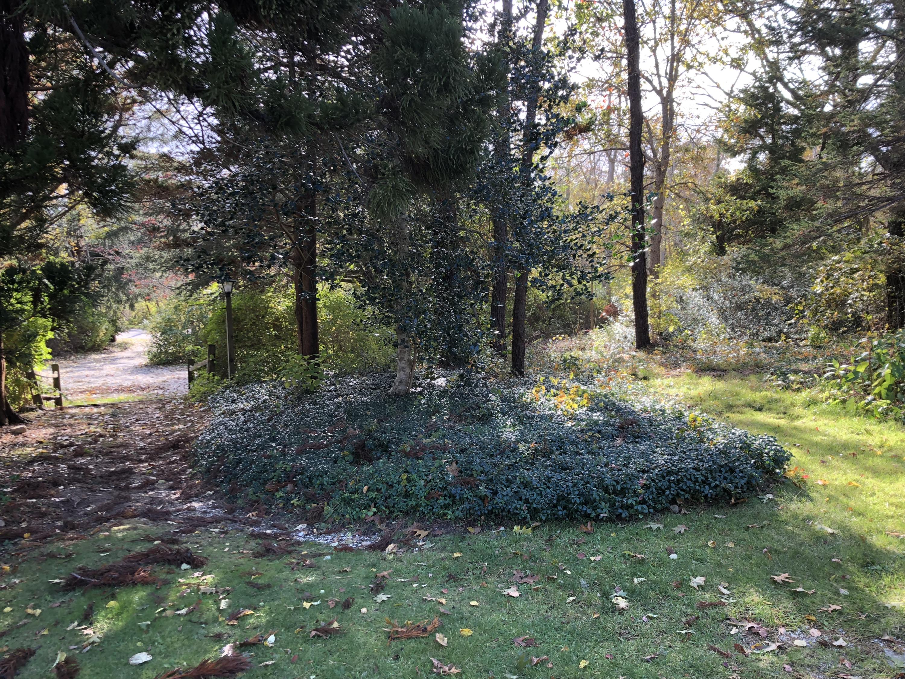 791 Long Pond Road Brewster, MA 02631 - Photo 23 of 24 67A31C3E-AA79-4B62-8C0A-C220C3F03C78