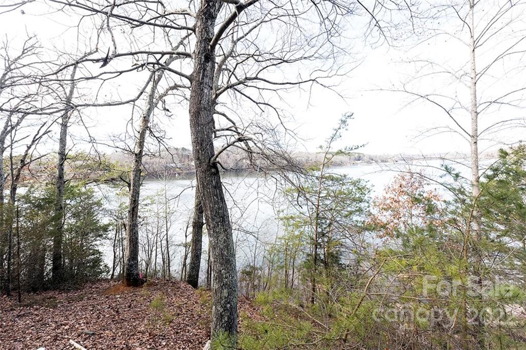 585 Stewart Rock Road Stony Point, NC 28678 - Photo 7 of 20 Gallery Image 7