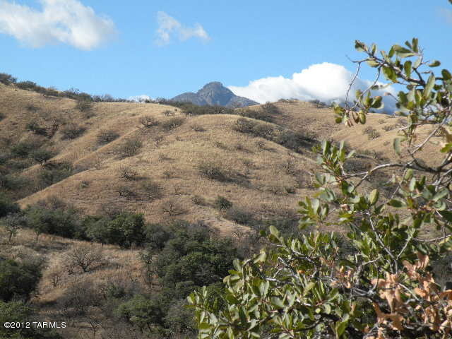 175 Wood Canyon Road Patagonia, AZ 85624 - Photo 39 of 47