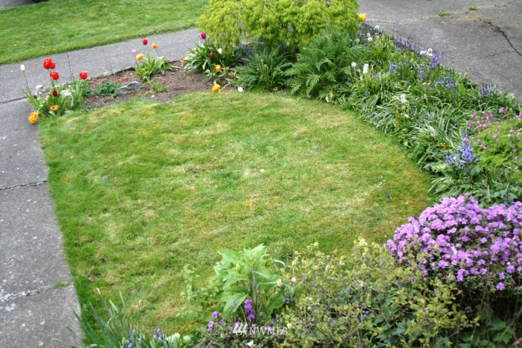 3935 Southwest Elmgrove Street Seattle, WA 98136 - Photo 3 of 20 Gallery Image 3