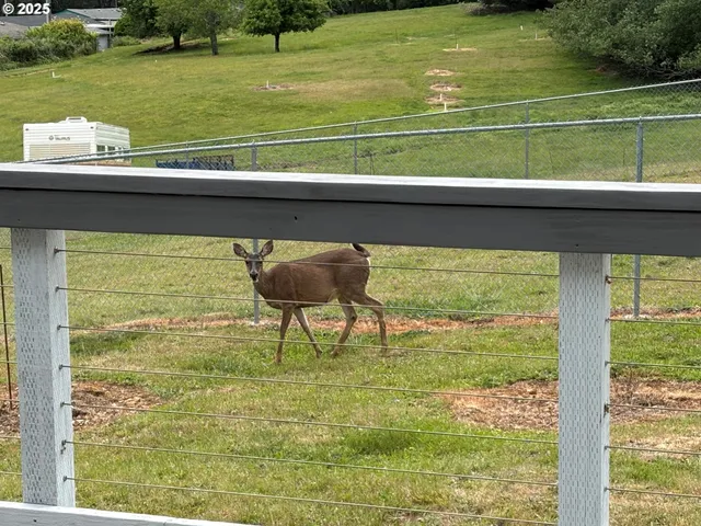 $150,000 | 98825 Pleasant Hill Drive, Unit 6, Brookings, OR 97415