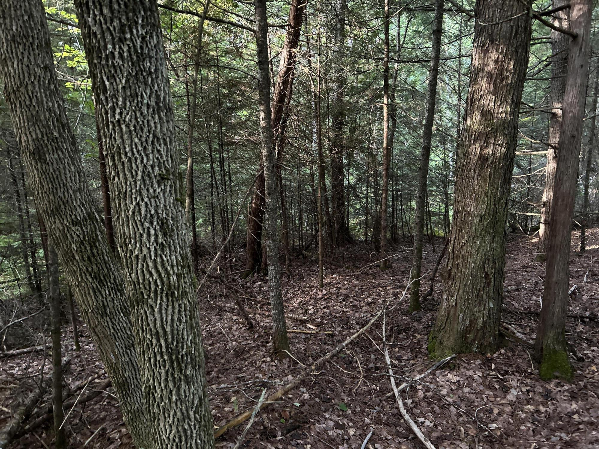 M4-l14 Village Road Jackson, ME 04921 - Photo 24 of 37