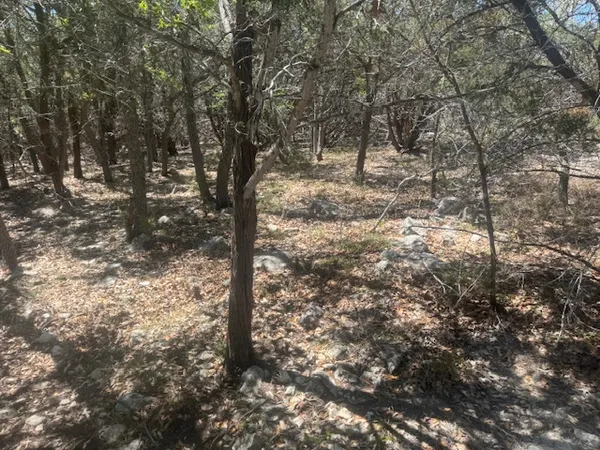 a view of trees