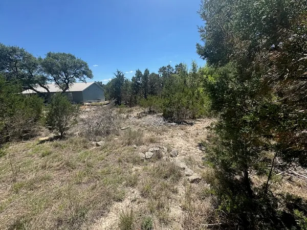 a view of a dry yard with trees