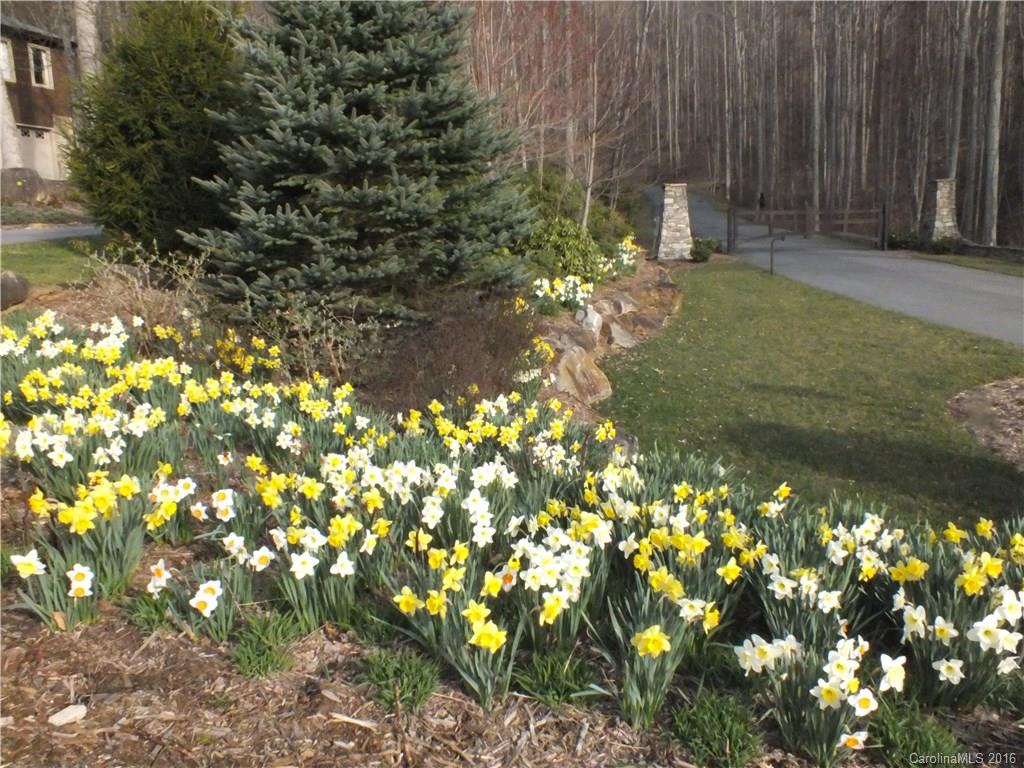 112 Ladderback Ridge, Unit 112 Waynesville, NC 28785 - Photo 15 of 22 Gallery Image 15