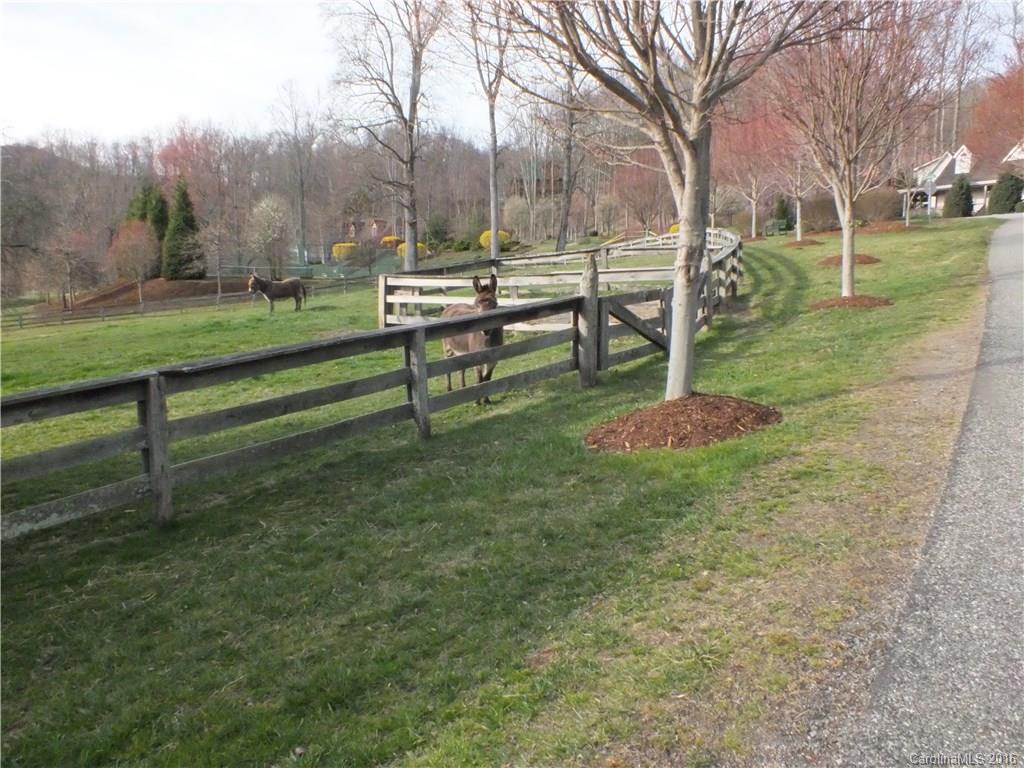 112 Ladderback Ridge, Unit 112 Waynesville, NC 28785 - Photo 16 of 22 Gallery Image 16