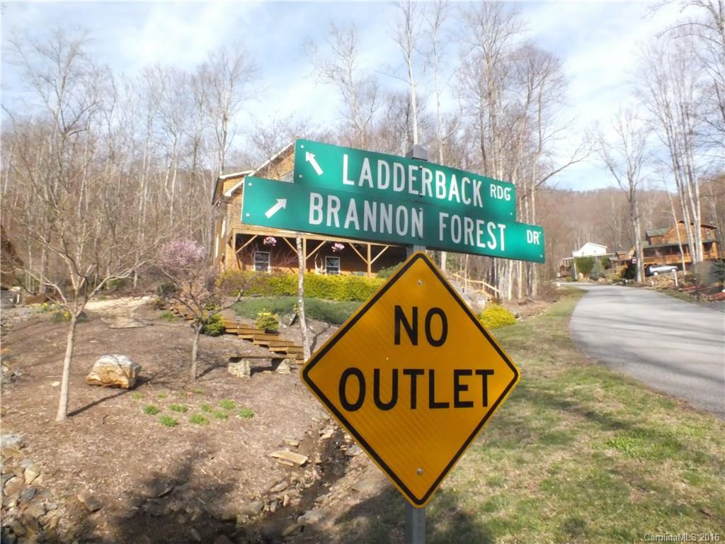 112 Ladderback Ridge, Unit 112 Waynesville, NC 28785 - Photo 20 of 22 Gallery Image 20