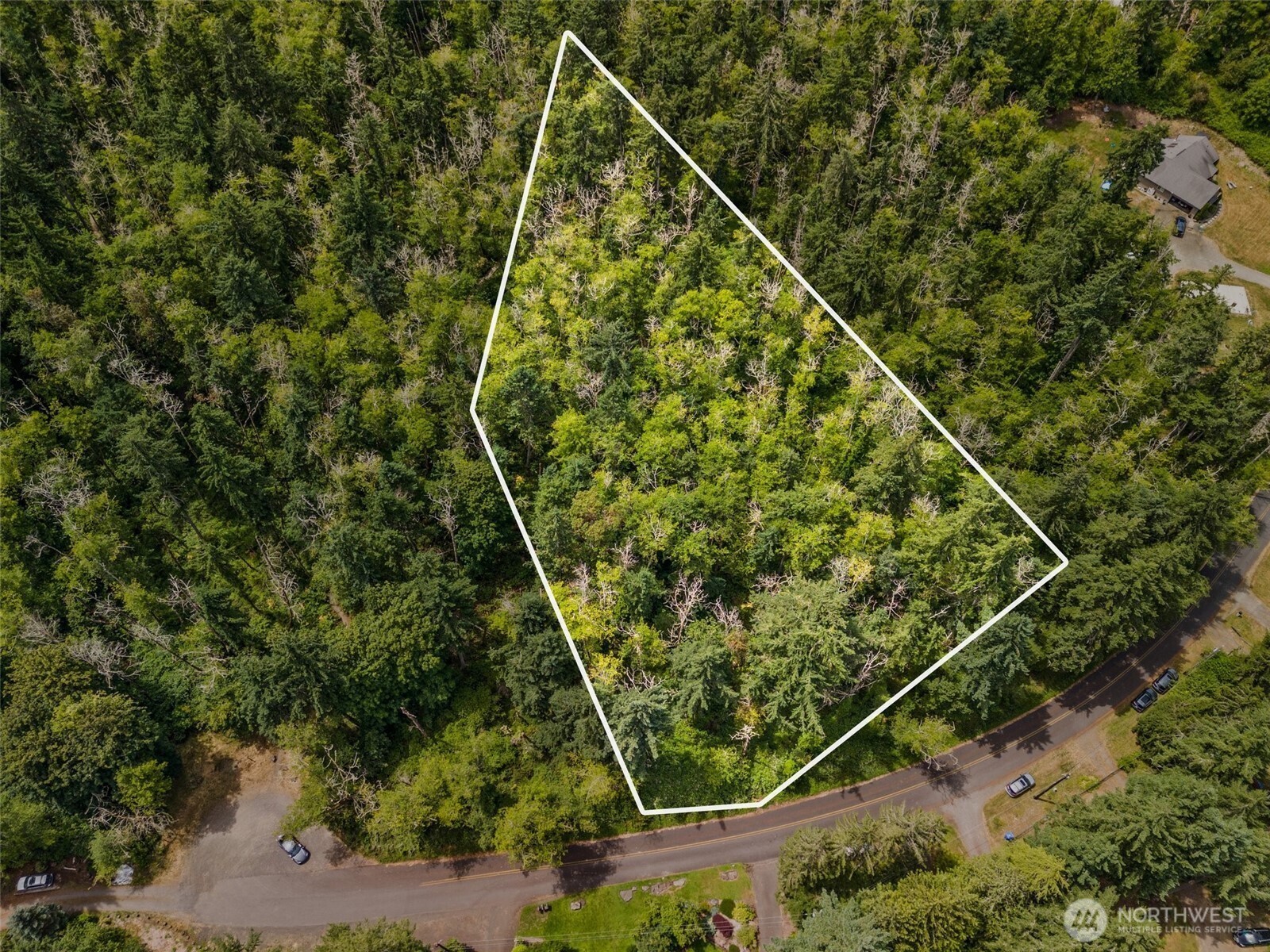 a aerial view of a yard