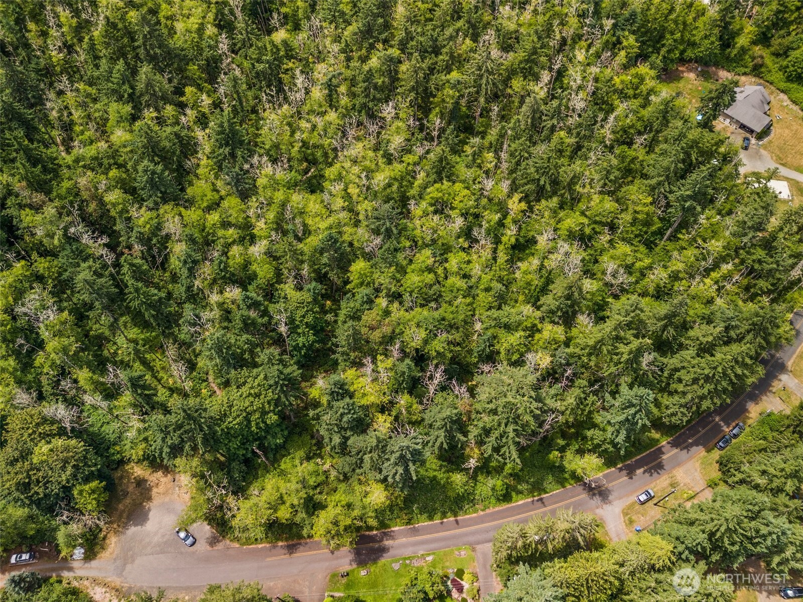 7605 Sandy Point Road Northeast Olympia, WA 98516 - Photo 16 of 25 a view of a yard with plants and wooden fence