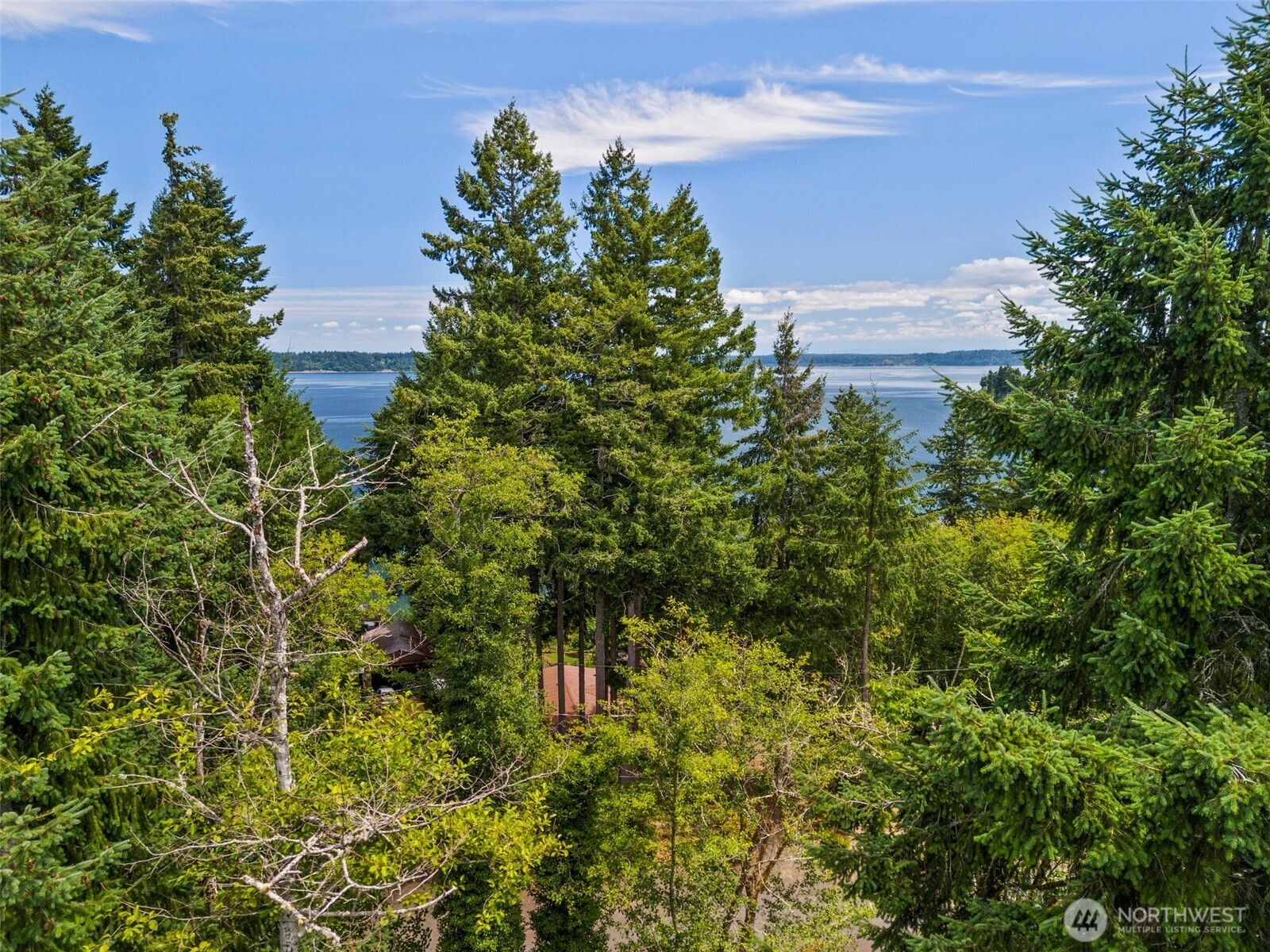 7605 Sandy Point Road Northeast Olympia, WA 98516 - Photo 18 of 25 a view of a garden