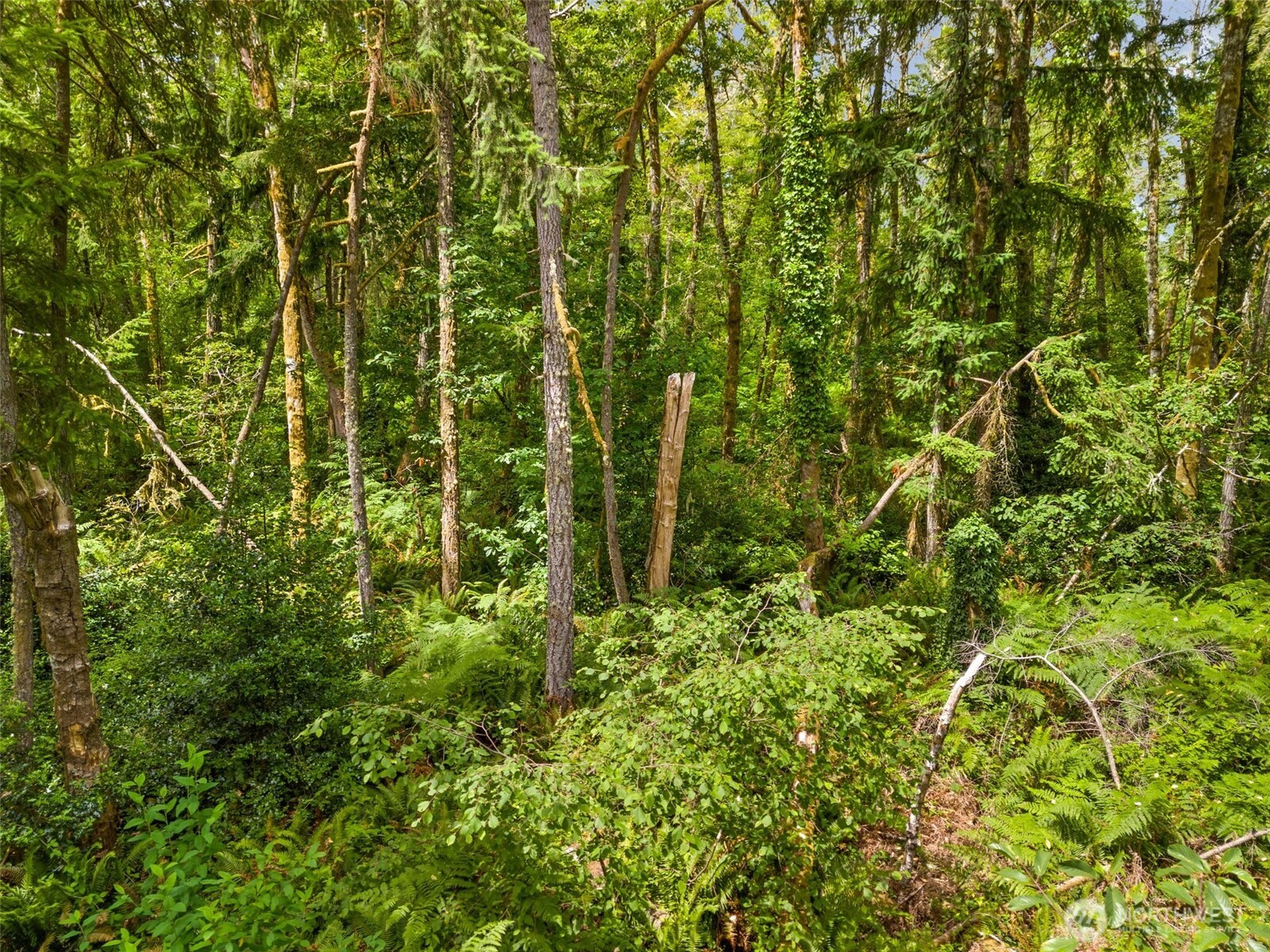 7605 Sandy Point Road Northeast Olympia, WA 98516 - Photo 20 of 25 a view of a garden