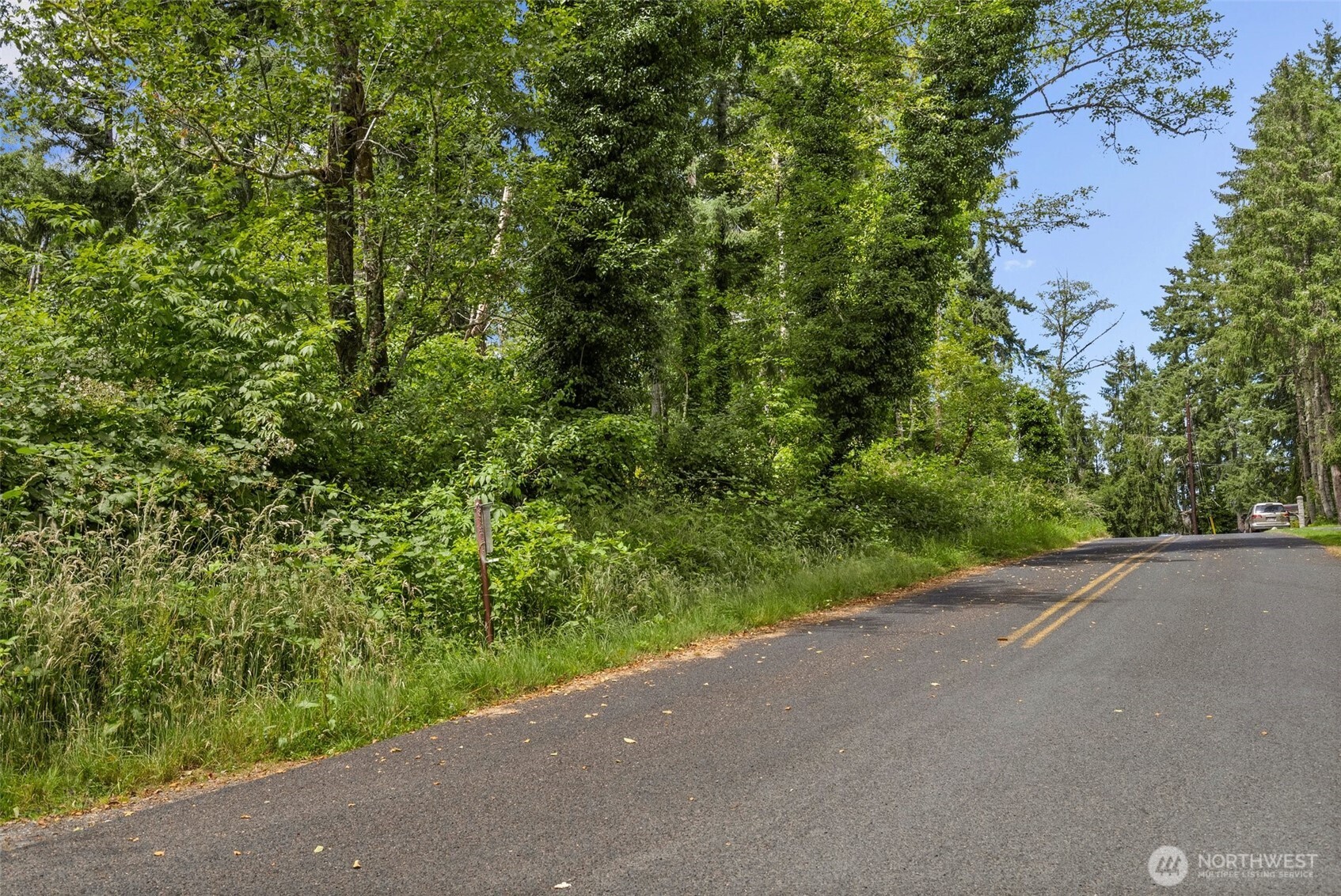 7605 Sandy Point Road Northeast Olympia, WA 98516 - Photo 7 of 25 a view of a road from a yard