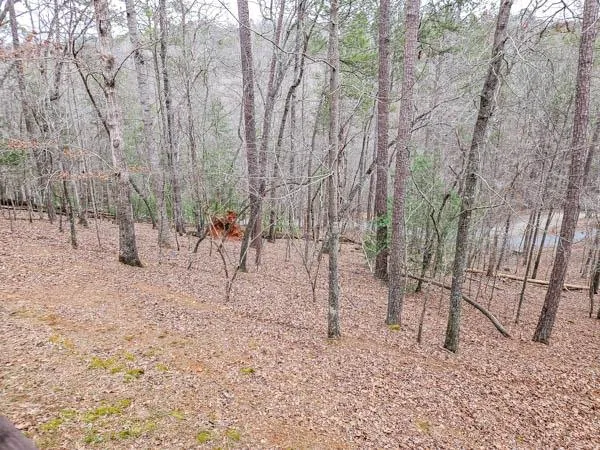 $2,000 | 597 Frigate Drive, Ellijay, GA 30540