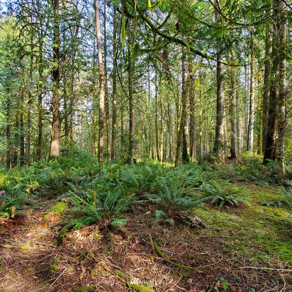 162 East Nantucket Road Shelton, WA 98584 - Photo 1 of 35 Gallery Image 1