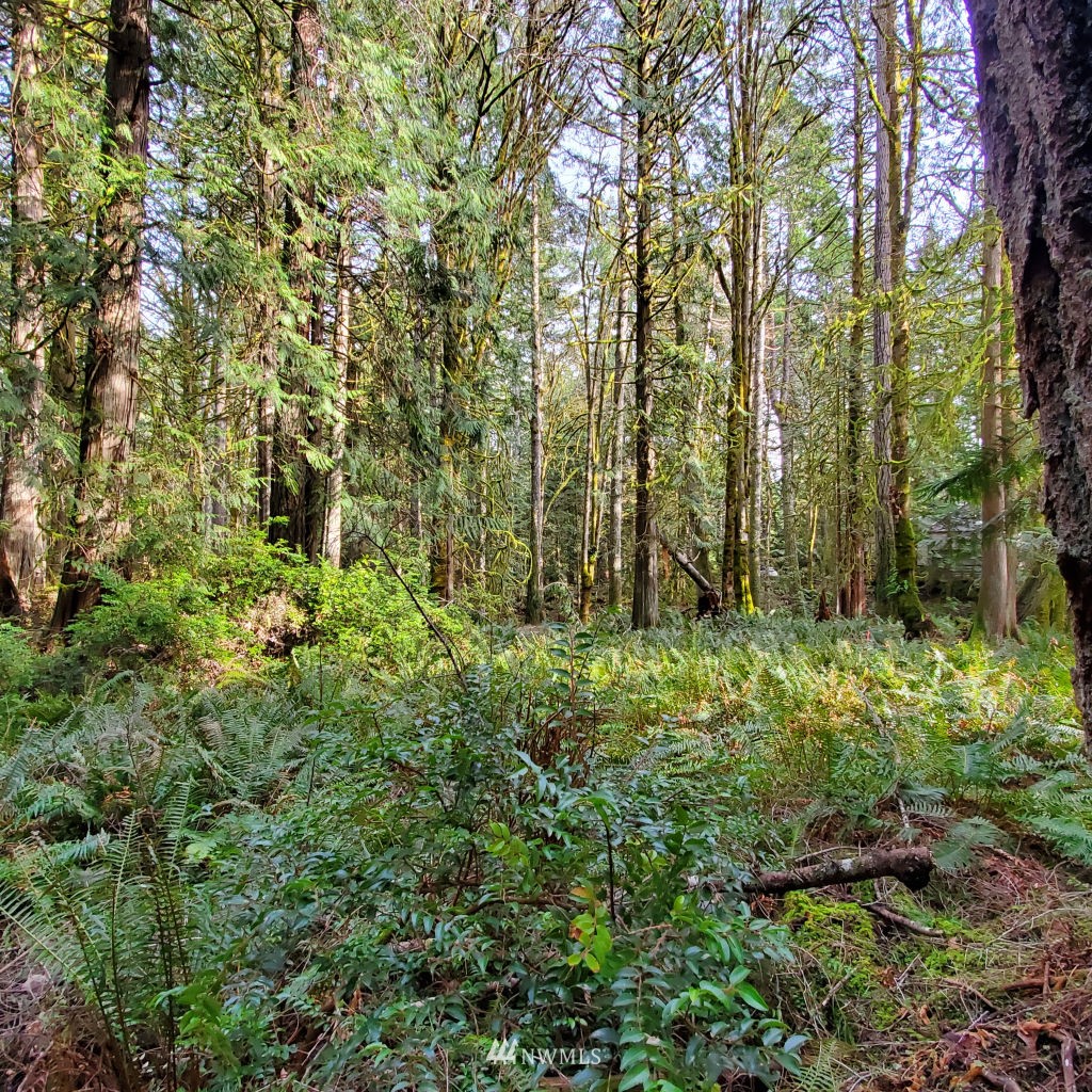 162 East Nantucket Road Shelton, WA 98584 - Photo 2 of 35 Gallery Image 2