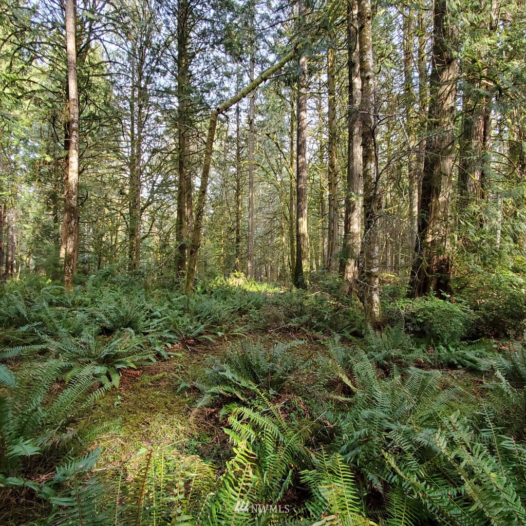 162 East Nantucket Road Shelton, WA 98584 - Photo 4 of 35 Gallery Image 4