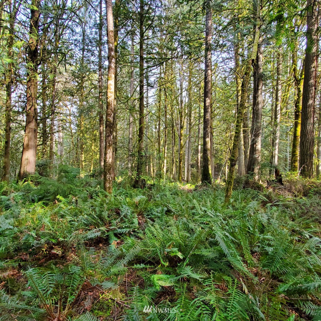 162 East Nantucket Road Shelton, WA 98584 - Photo 5 of 35 Gallery Image 5