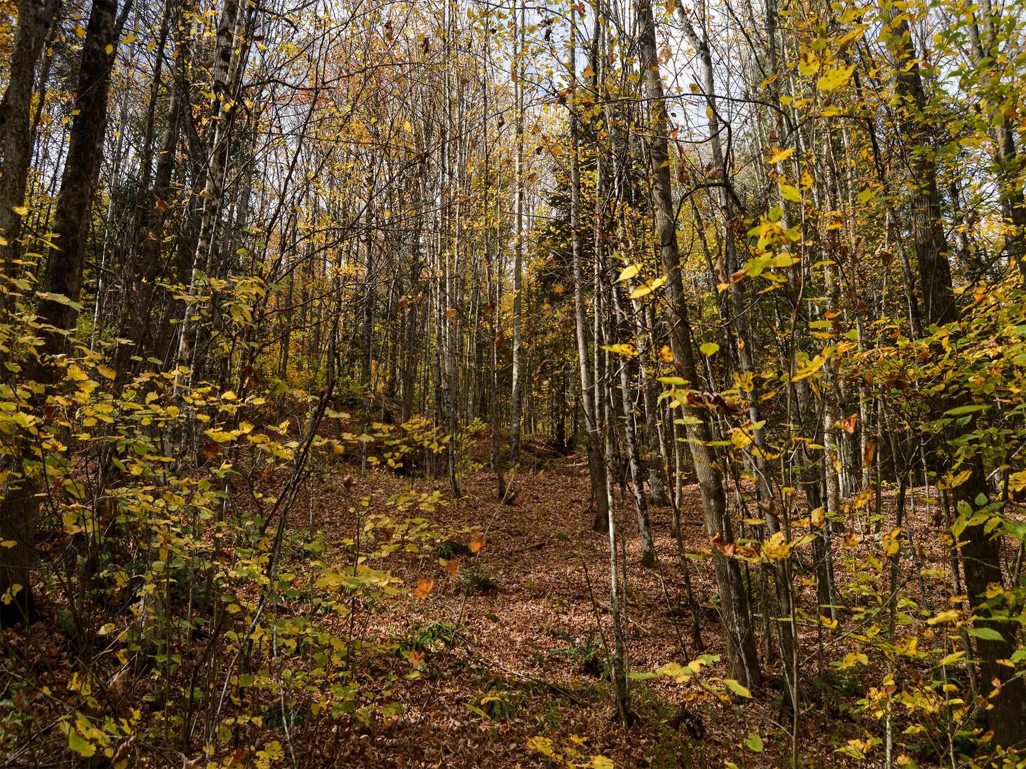 665 West Hill Road Wolcott, VT 05680 - Photo 12 of 29