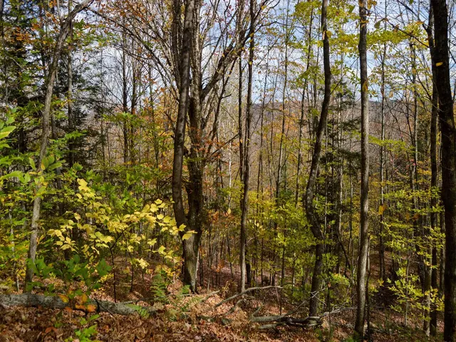 $95,000 | 665 West Hill Road, Wolcott, VT 05680