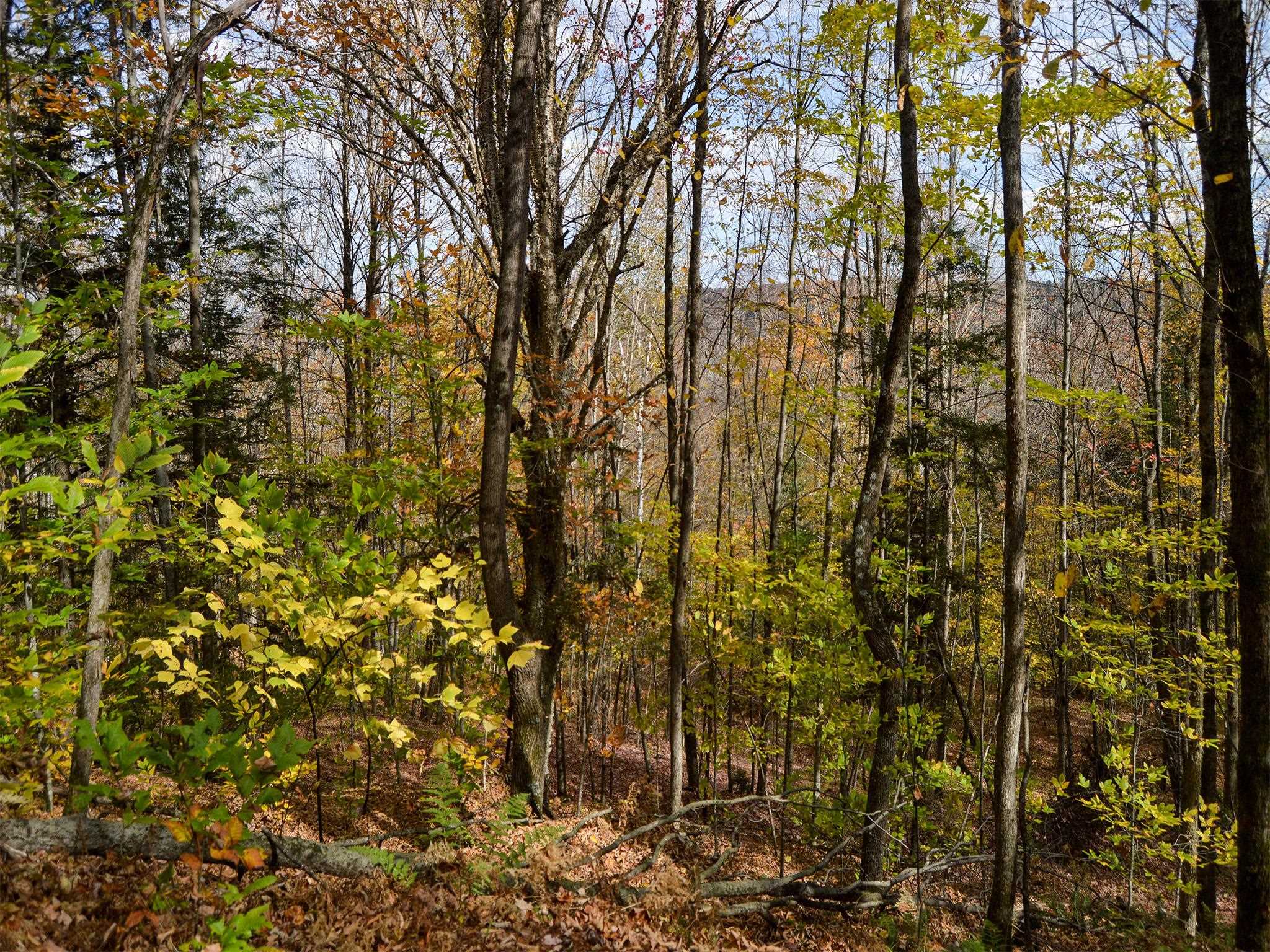 665 West Hill Road Wolcott, VT 05680 - Photo 14 of 29