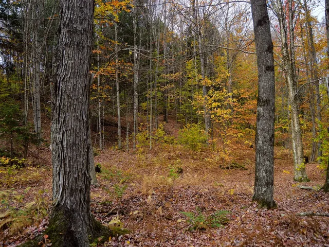 $95,000 | 665 West Hill Road, Wolcott, VT 05680